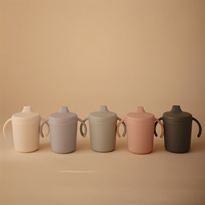 Mushie sangadega harjutustass