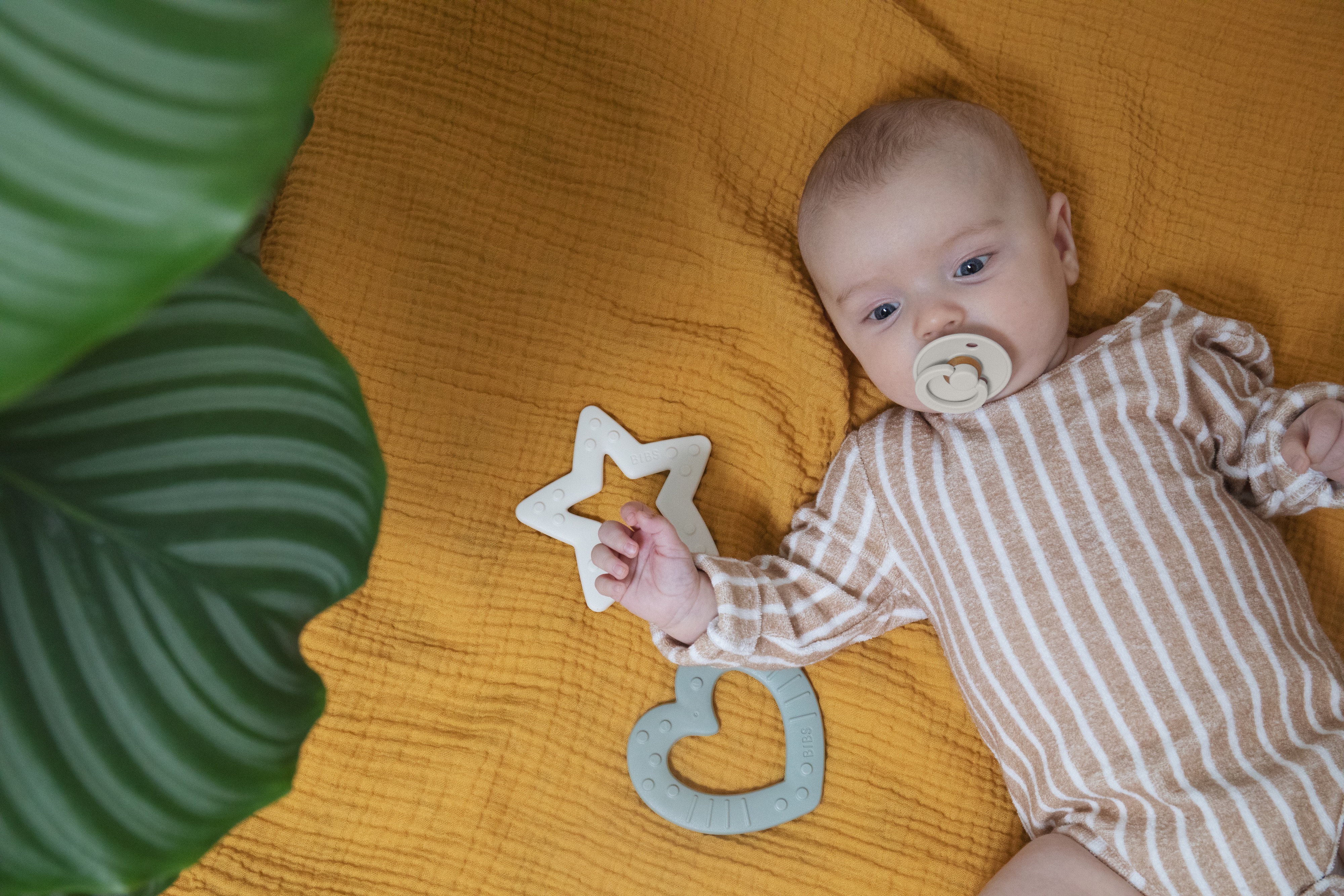 BIBS Colour Anatomical latekslutid 2-pakk 0-6 kuud