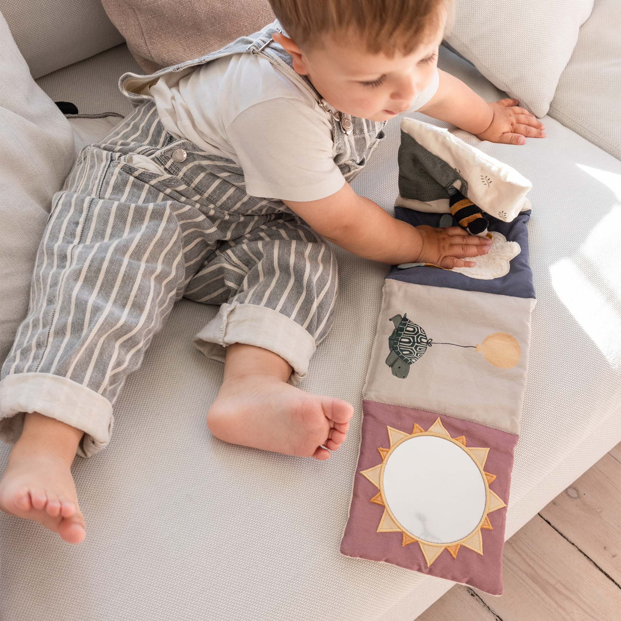 Sebra tegevusraamat, World of Sebra