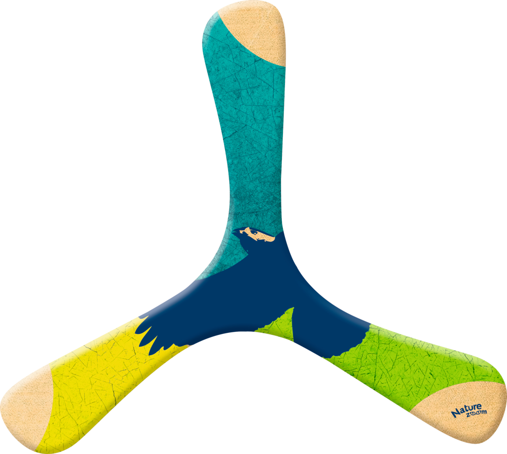 Nature Zoom Bumerang