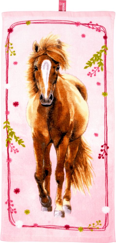 Horse Friends Maagiline käterätik 
