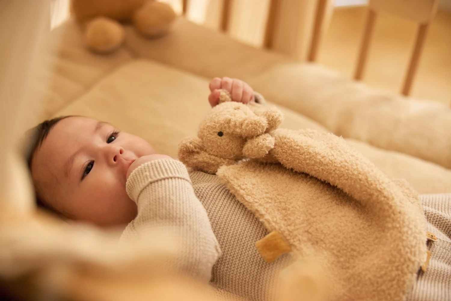Jollein kaisulapp ja lutihoidja Elephant Suki
